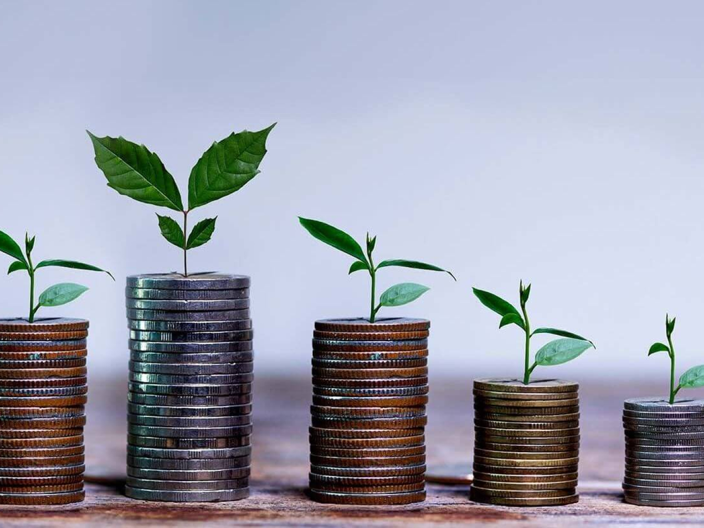 Varias monedas que muestran el crecimiento de una inversión en Ecuador