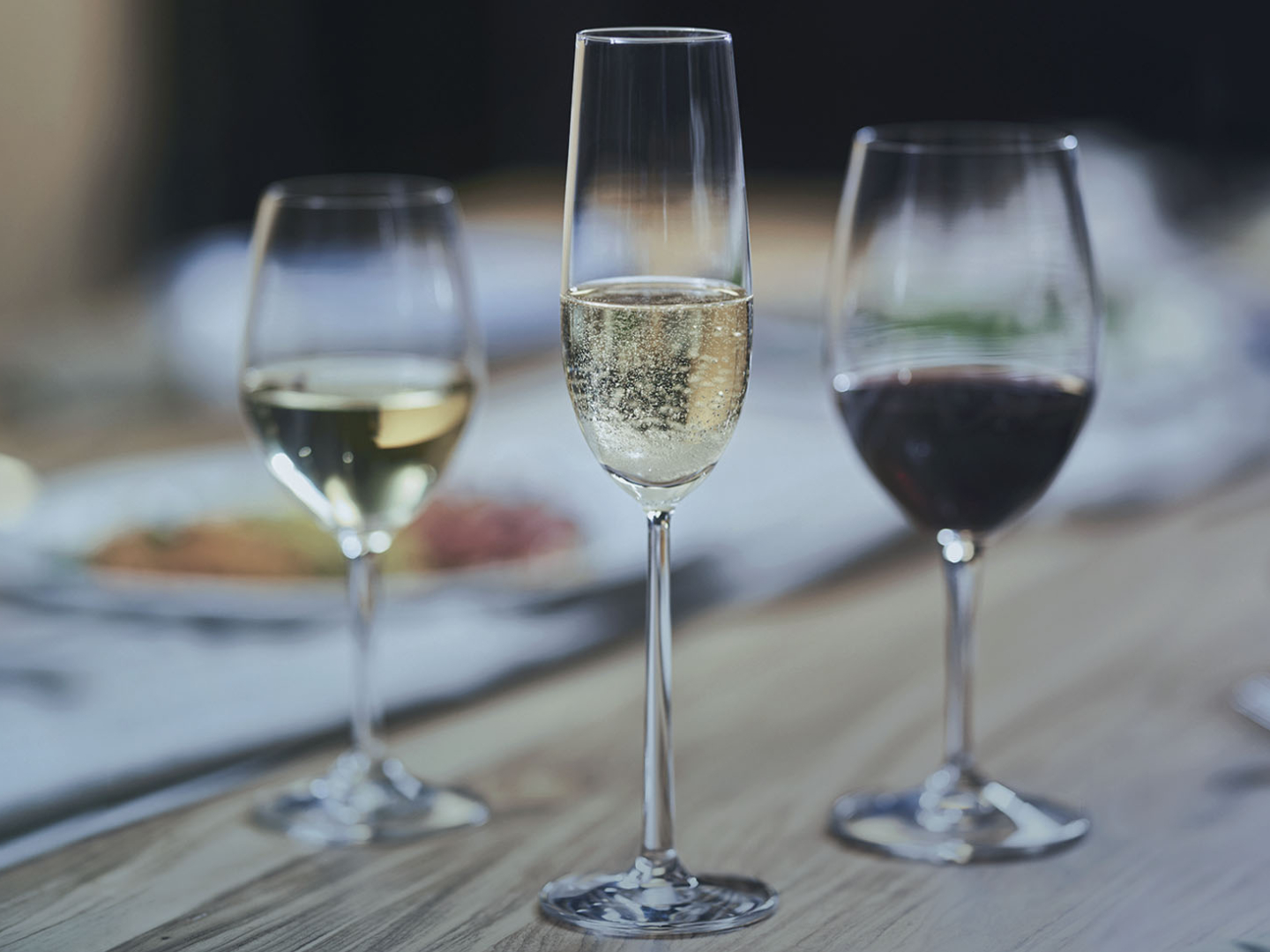 Revisa los términos que se usan en el mundo del Vino con nuestro diccionario