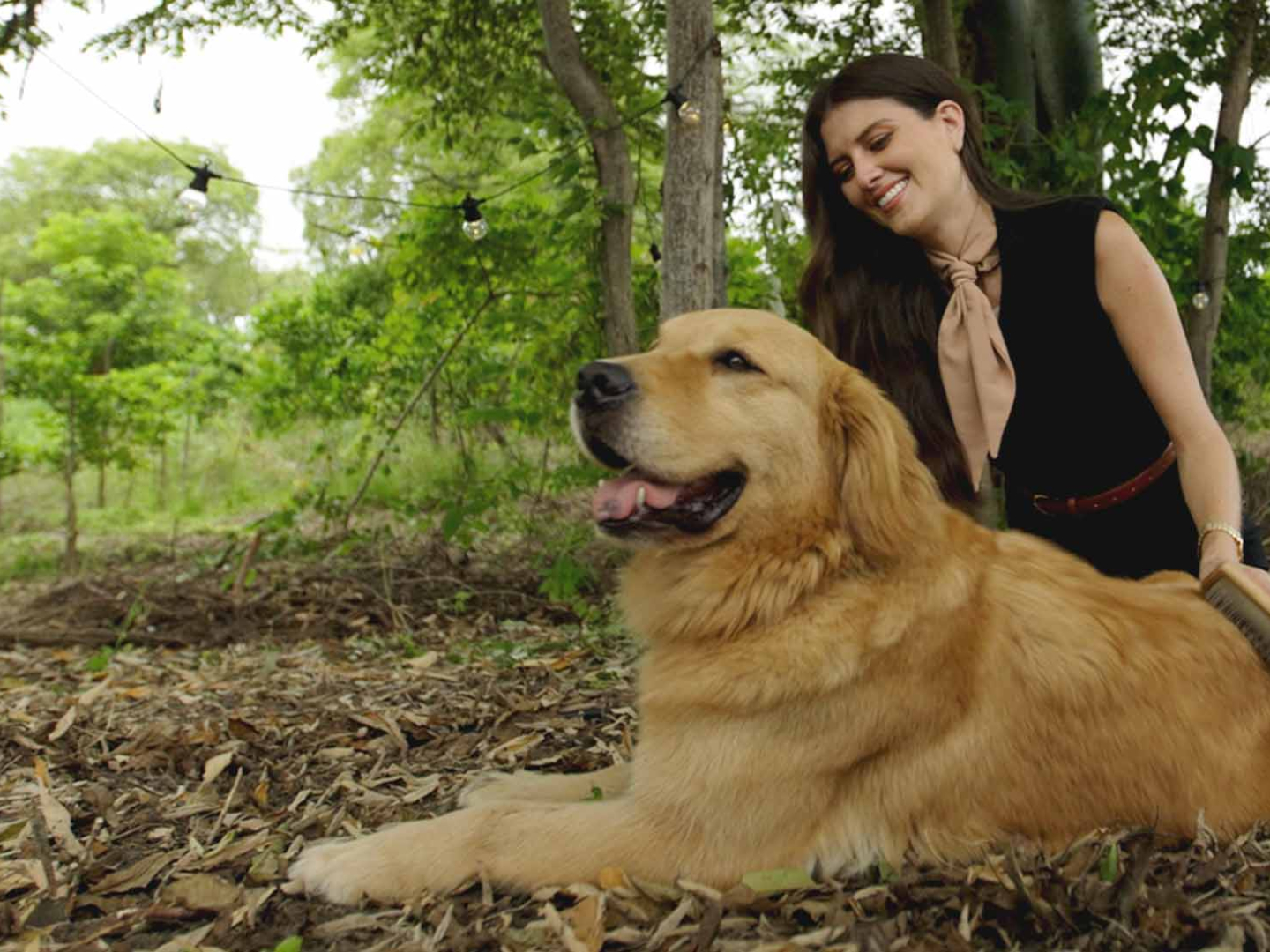 consejos cuidar perro