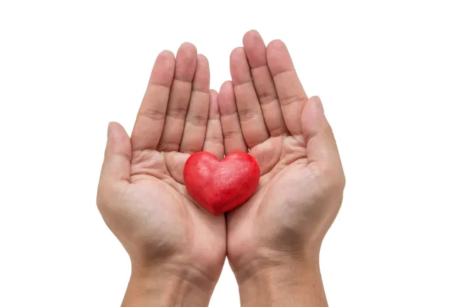 Proceso de donación: Manos de una persona con una imagen de corazón en la mitad