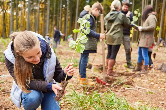 Fundación Red Forestal Ecuador: Grupo de personas reforestando un bosque